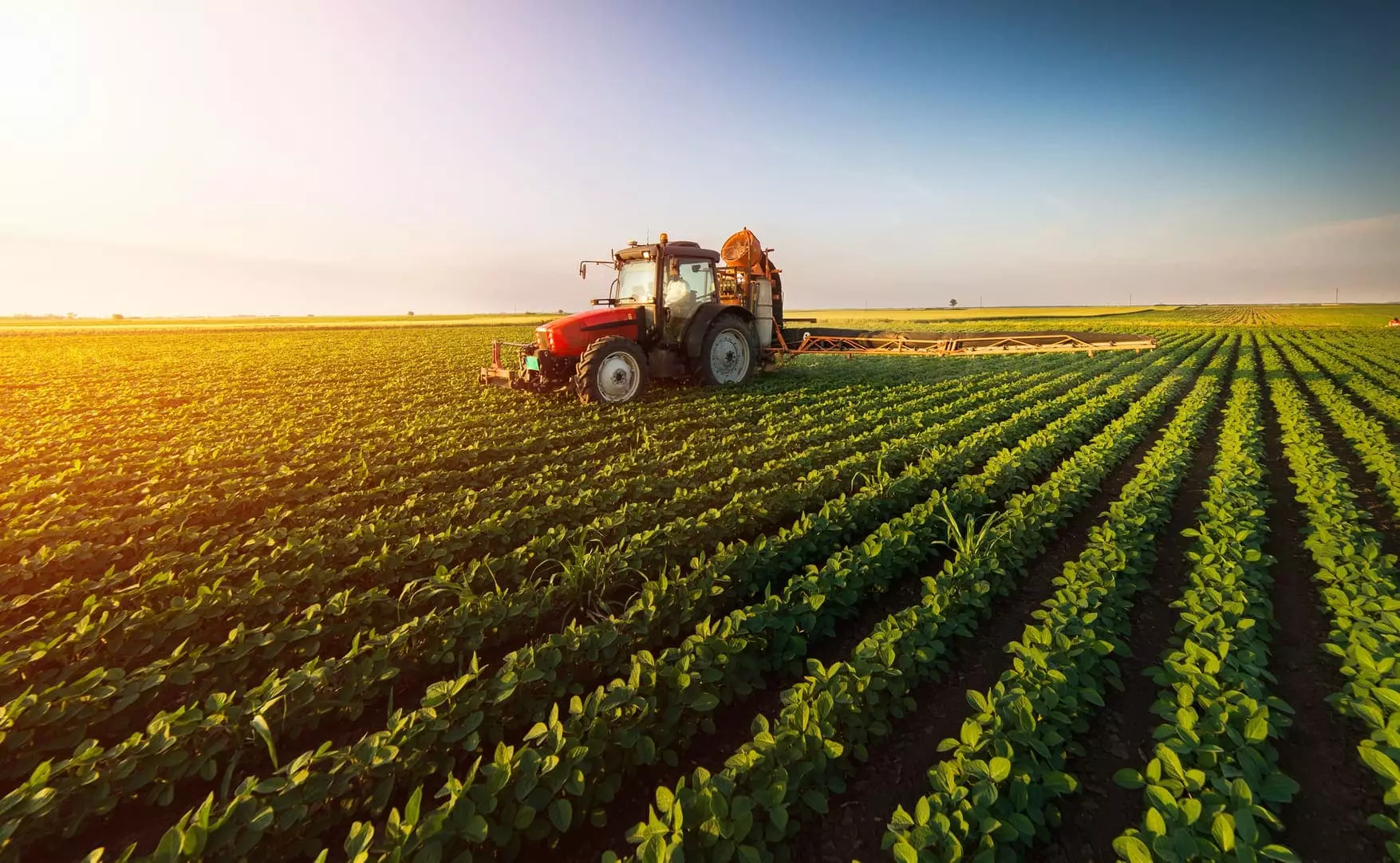 Agronegócio cresce, reduz tombo da economia e deve ser motor da recuperação