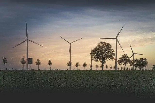 ESG é mimimi? Quem pensa assim será atropelado pelo mercado, diz gestor